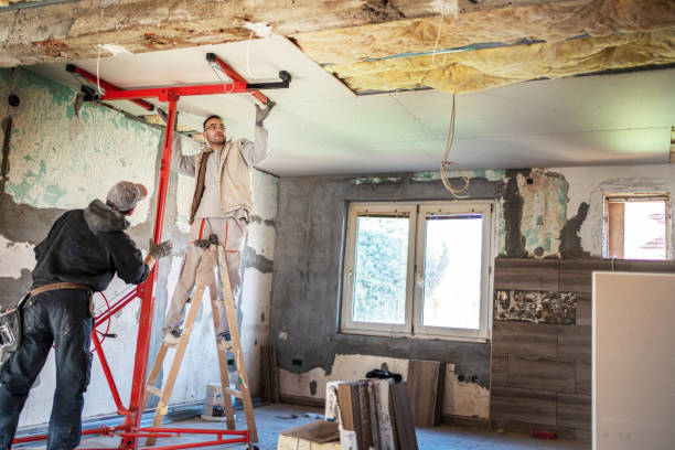 Best Geographic-Specific Insulation Services in Park Falls, WI