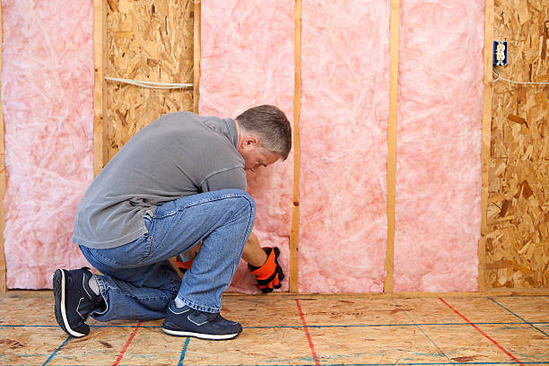 Best Blown-in Insulation in Park Falls, WI